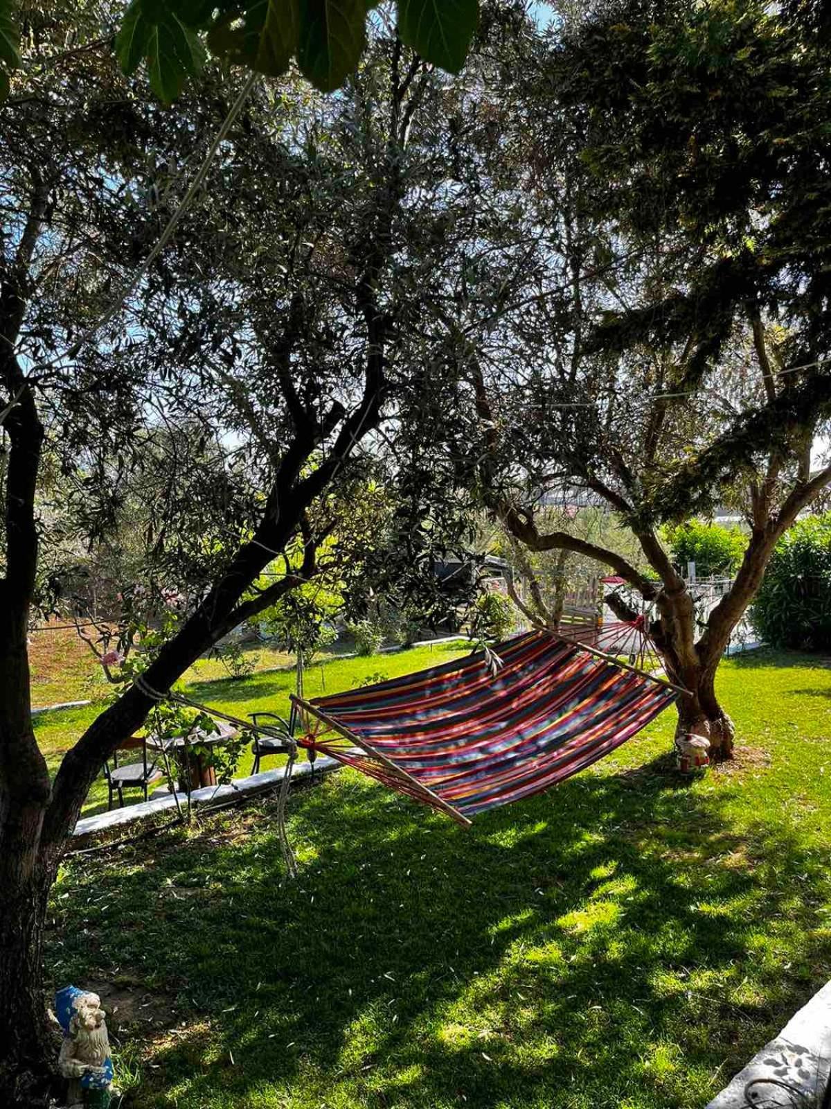 Savvinio Country Apartment Alexandroupoli Exterior foto